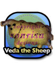 Veda the Sheep